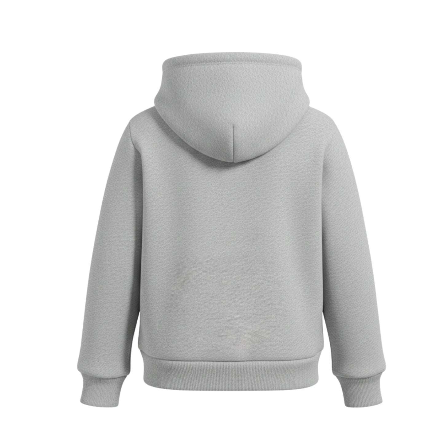Gray hoodie shown from the back on a white background