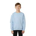 Boys Sweatshirt â€“ Classic Crewneck Pullover | ANJA Sportswear
